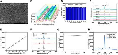 A simple and efficient strategy for trace detection of ferroptosis-related miRNAs based on novel hydrophobic paper-based plasmonic substrate and “inverse molecular sentinel (iMS)” nanoprobes